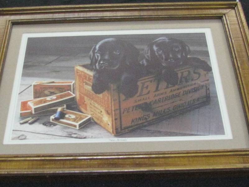 lot 77 image: New Arrivals Framed Print