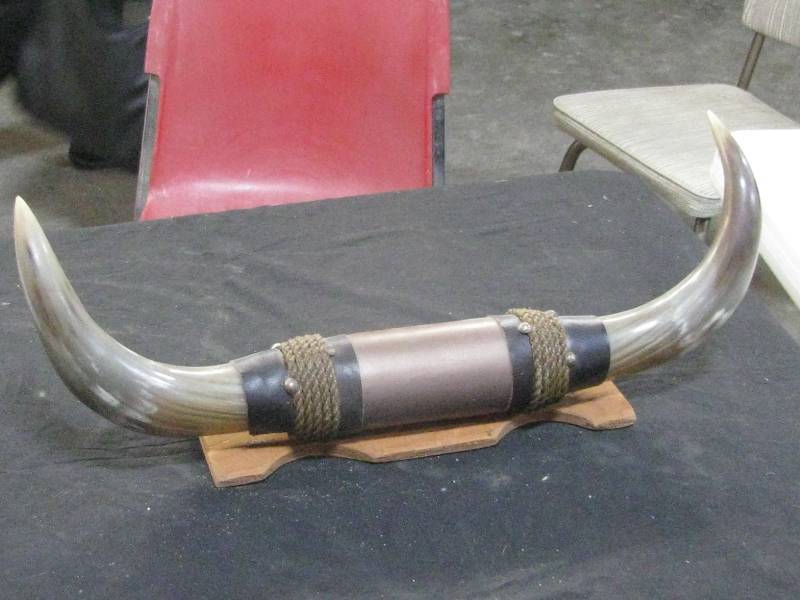 lot 100 image: Steer Horns