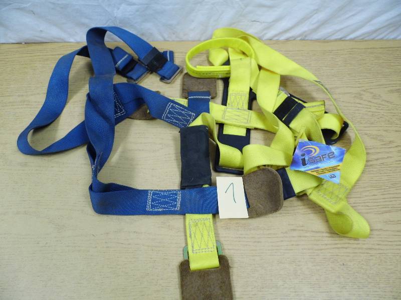 lot 7 image: Sala iSafe Harness