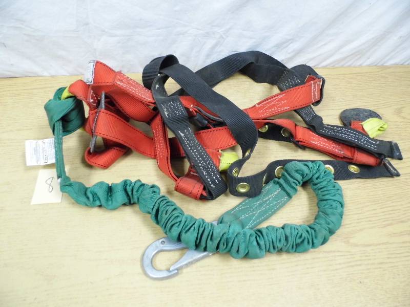 lot 8 image: Buckyard Harness