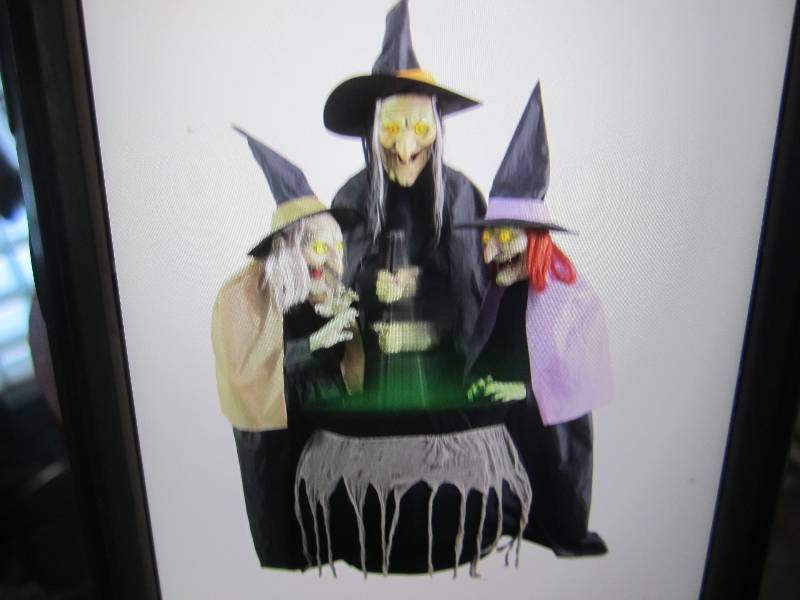 lot 6 image: Spellbinding Witch Sisters Animated...