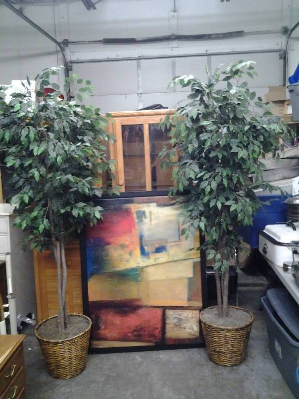 lot 16 image: Pair Of 7 Fica Trees, 1-Large Abstract Art 39x48