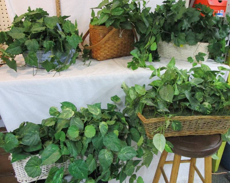 lot 101 image: Lots of Greenery and Baskets