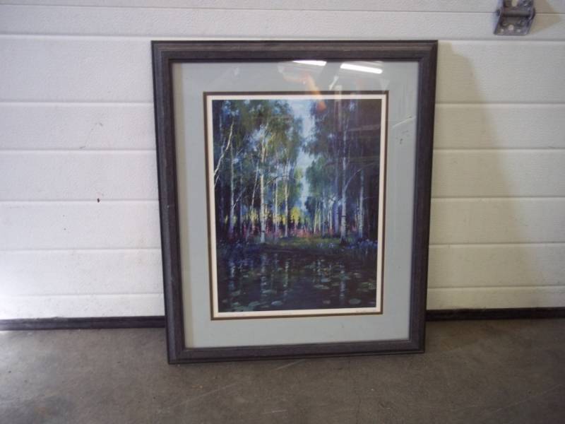 lot 233 image: 20x24 Art  Print of Birch Trees