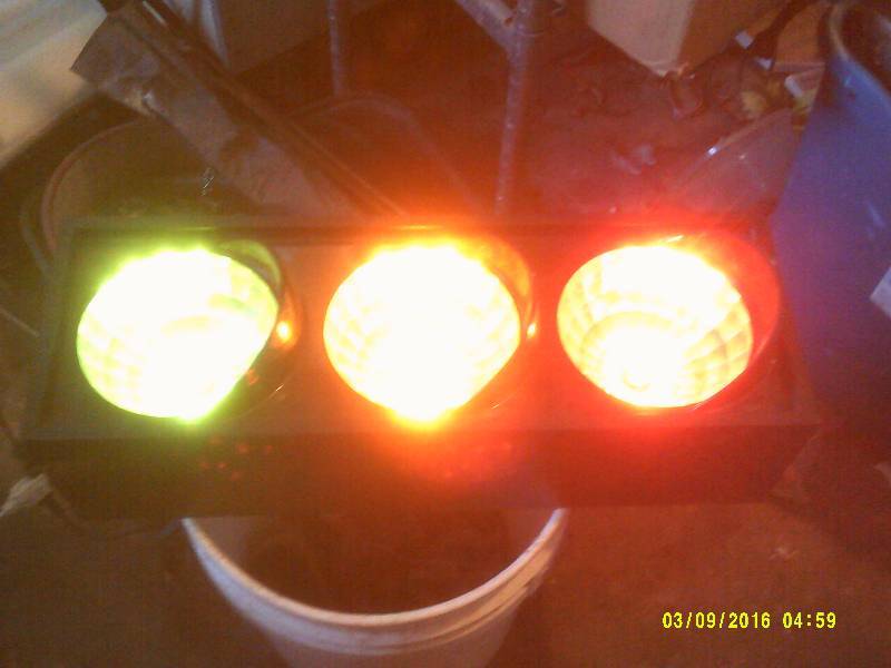 COLORED 3 LIGHT SYSTEM