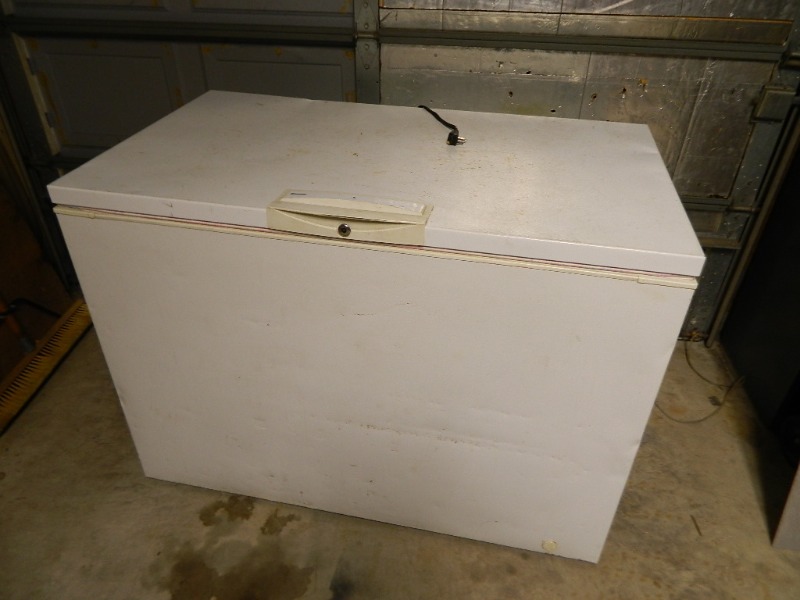 lot 53 image: Kenmore Reach In Freezer