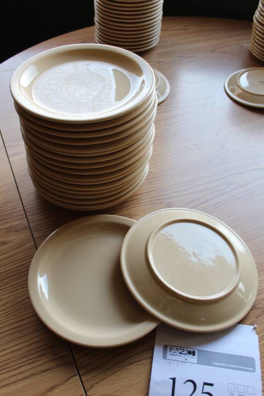 lot 125 image: Lot of (18) Buffalo China Caf 8.5in. Plates