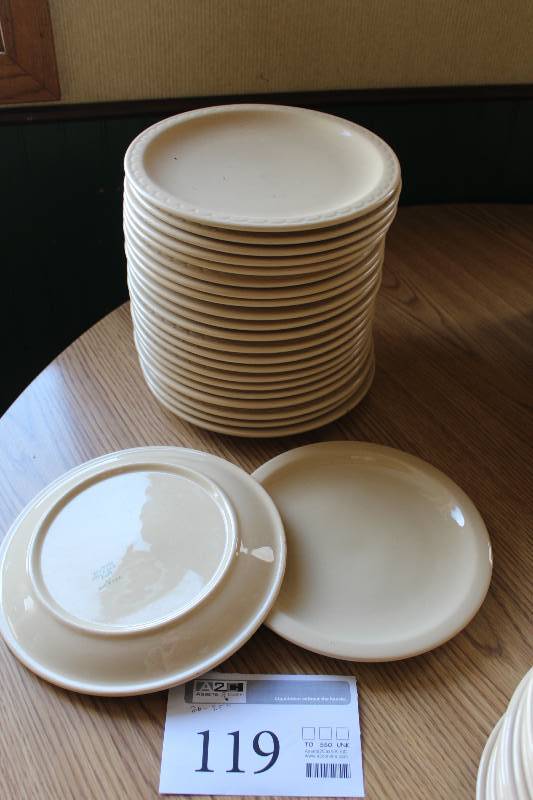 lot 119 image: Lot of (20) Buffalo China Caf 9.5in. Plates