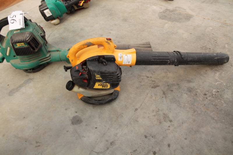 lot 756 image: Lot of (2) Gas Yard Blowers - Poulon Pro, WeedEater