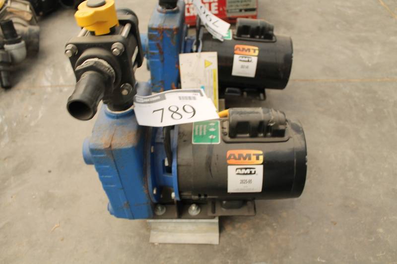 lot 789 image: AMT Commercial Duty Pump Motor