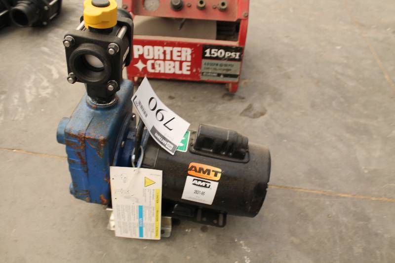 lot 790 image: AMT Commercial Duty Pump Motor