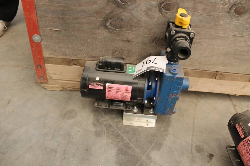 lot 791 image: AMT Commercial Duty Pump Motor