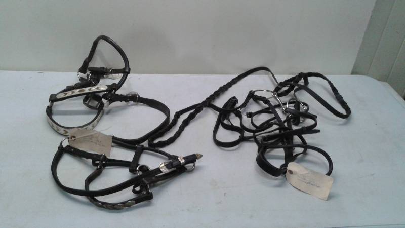 Lot Of Horse Halters, One Show