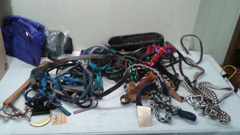 Lot Of Horse Supplies And Accessories, Used�