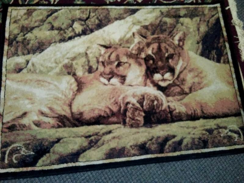 lot 126 image: Duck Unlimited Area Rug, 56 x 38 in. No pet stains
