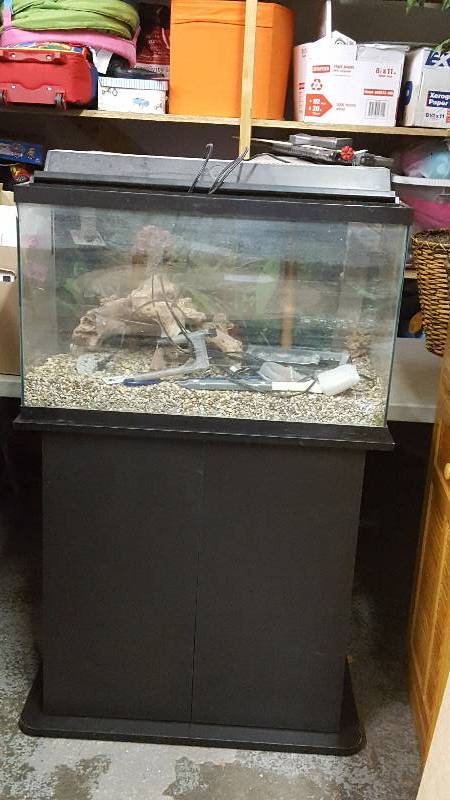 Aquarium With Stand & Accessories