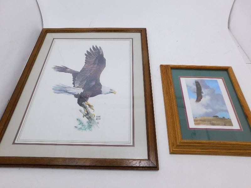Lot Of 2 Eagle Pictures
