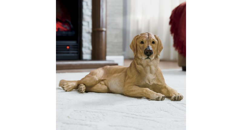 lot 81 image: Golden Retriever Statue open box Re...