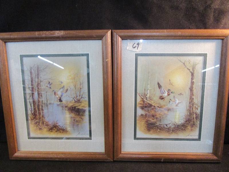 2-11x13 12 Duck Pictures