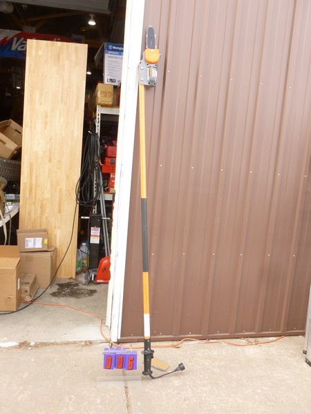 SnS Auctions # 307 Early Spring Sale