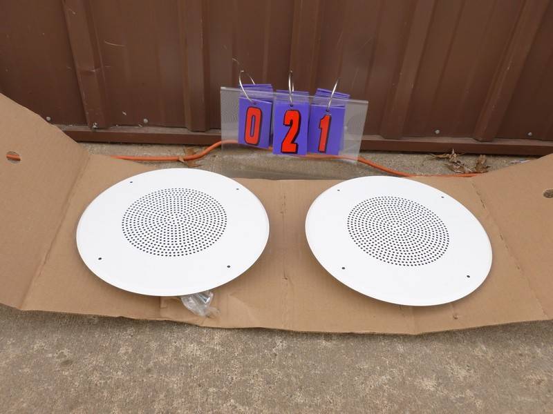 SnS Auctions # 307 Early Spring Sale