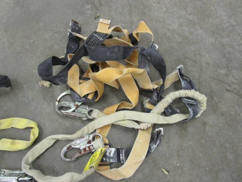 lot 71 image: Fall Protection Harness