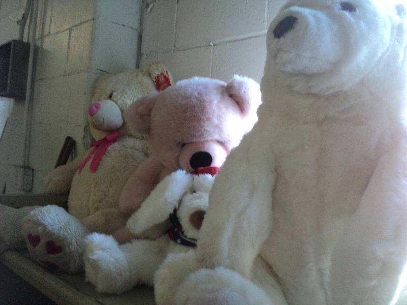 4 large stuffed animals and 3 pictu...