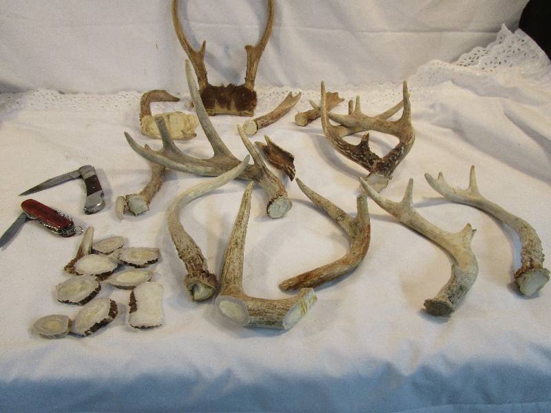 lot 61 image: Deer Antlers and pocketWall Drug and Winchester Pocket Knives