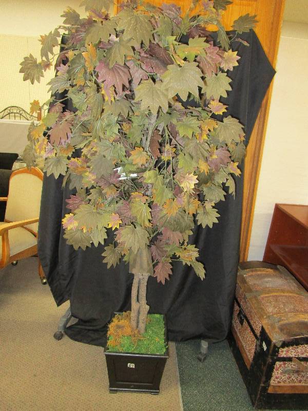 lot 128 image: Maple Tree