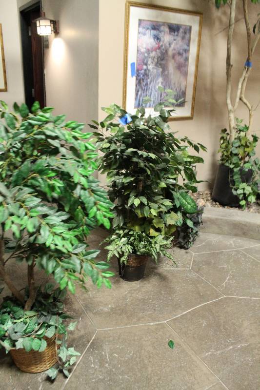 Decorative Tree