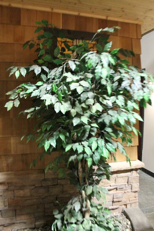 Decorative Tree