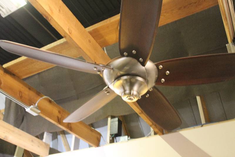 Ceiling Fan