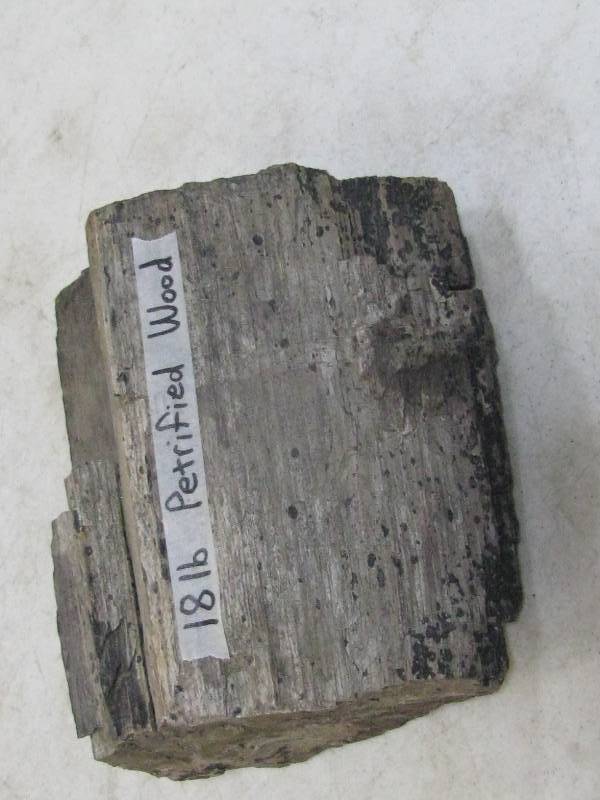 lot 18 image: Petrified Wood