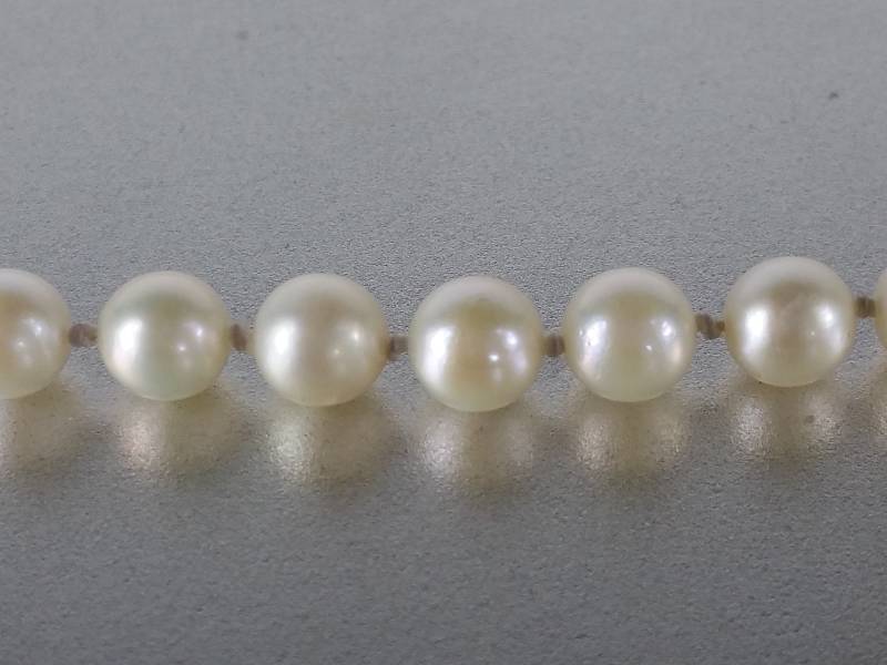 Very Nice Genuine Pearl Necklace in Gold Clasp
