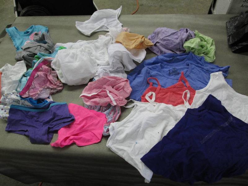 3 Ladies Size 4 Panties, Large Lot ...