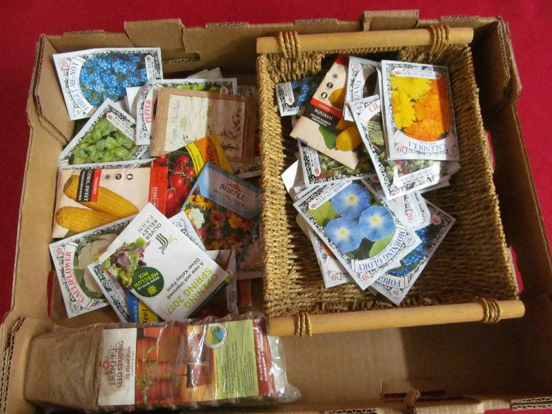 garden seeds, starter pots, basket