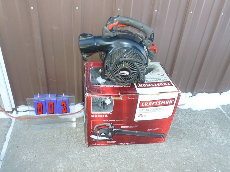 SnS Auctions # 308 Valentine Day Sale