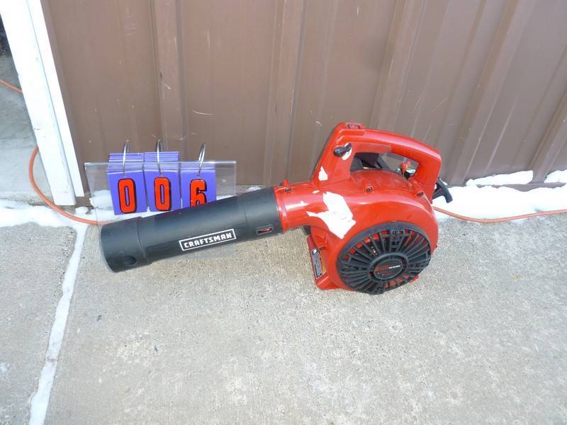 SnS Auctions # 308 Valentine Day Sale