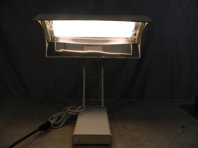 lot 14 image: Northern Light Desk Lamp