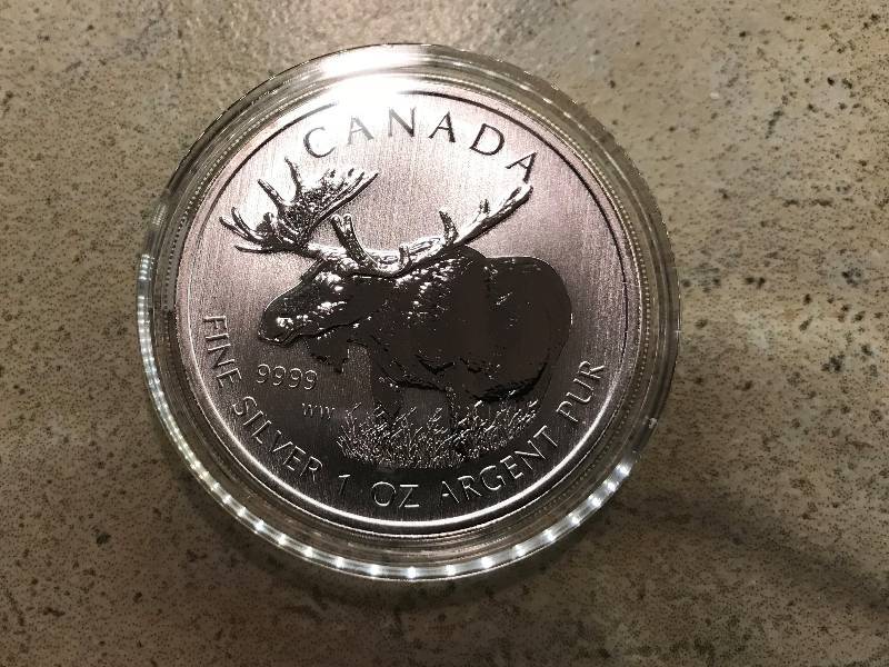 lot 203 image: 2012 Canadian Moose 1 troy oz. .9999 Silver BU