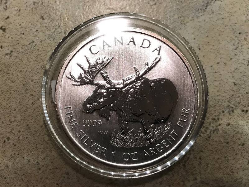 lot 204 image: 2012 Canadian Moose 1 troy oz. .9999 Silver BU