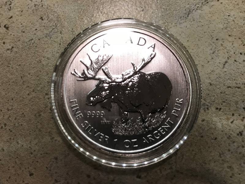 lot 205 image: 2012 Canadian Moose 1 troy oz. .9999 Silver BU