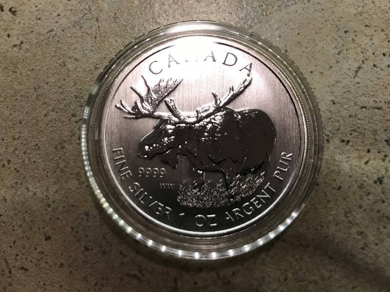 lot 207 image: 2012 Canadian Moose 1 troy oz. .9999 Silver BU
