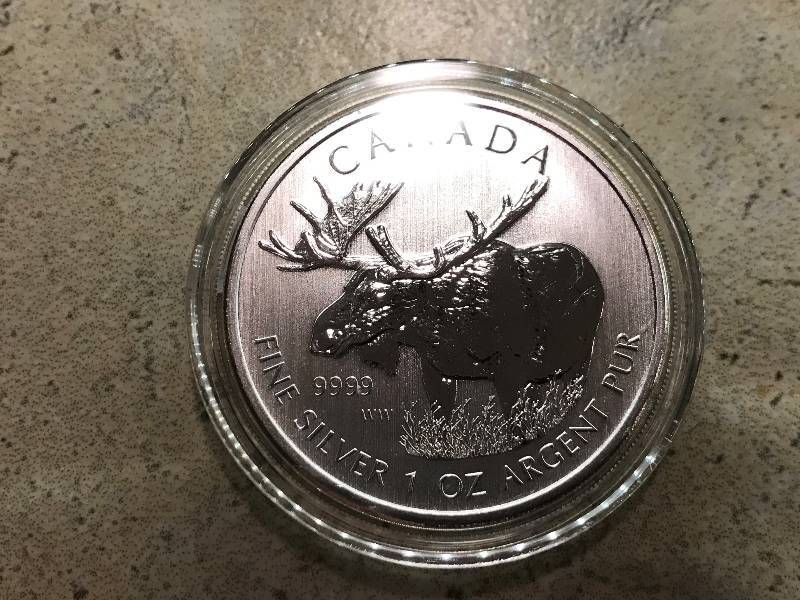 lot 211 image: 2012 Canadian Moose 1 troy oz. .9999 Silver BU