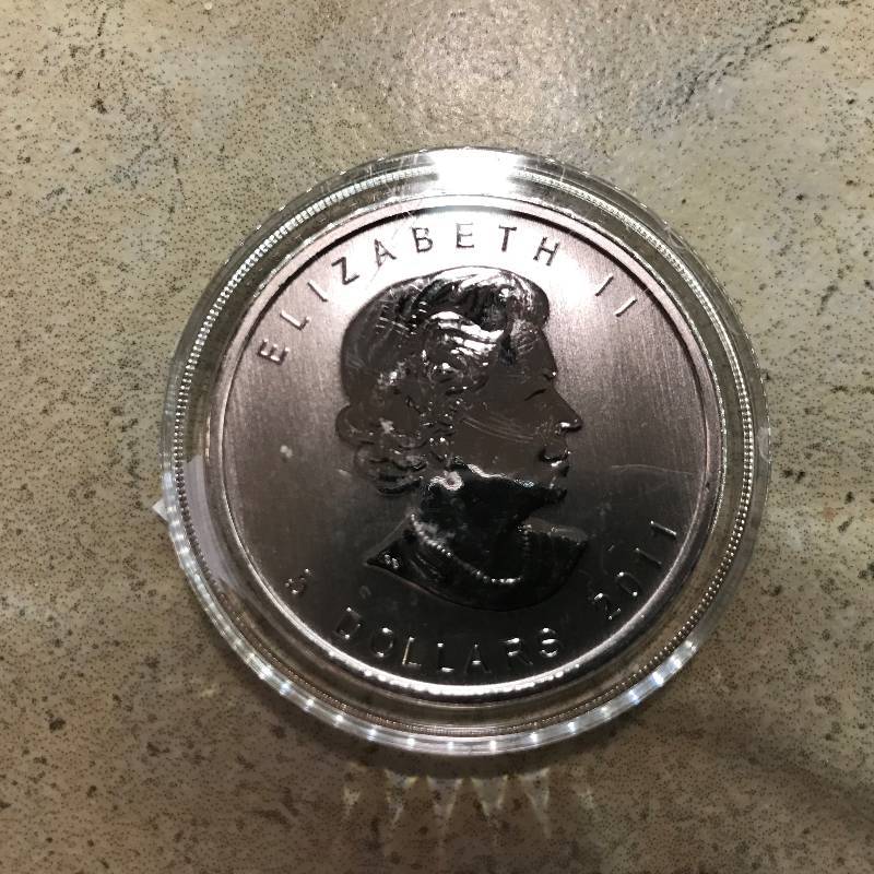 lot 243 image: 2011 1 oz .9999 Silver Canadian Grizzly Bear Wildlife Series