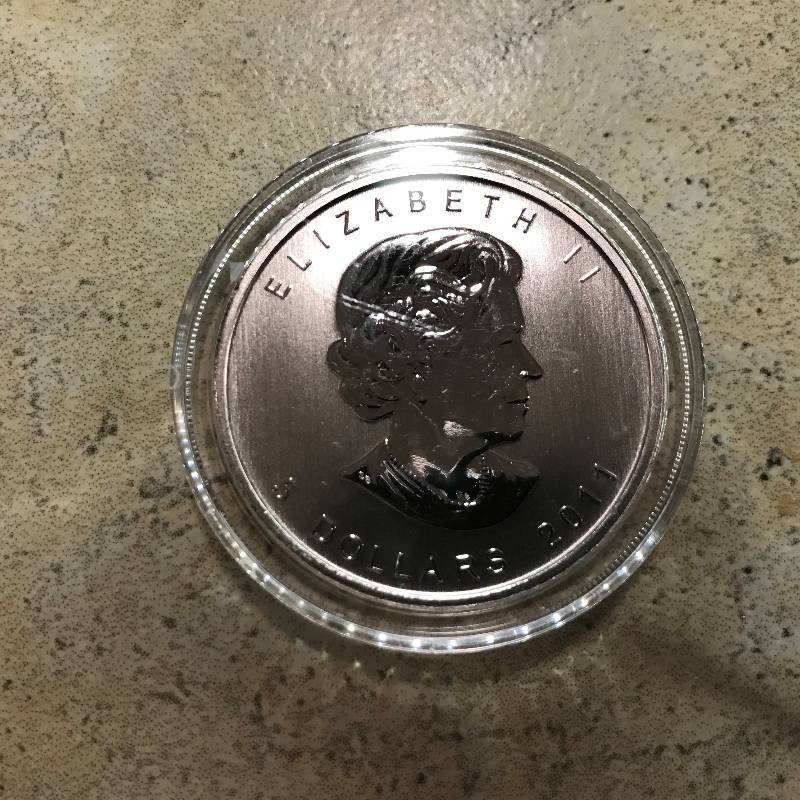 lot 249 image: 2011 1 oz .9999 Silver Canadian Grizzly Bear Wildlife Series