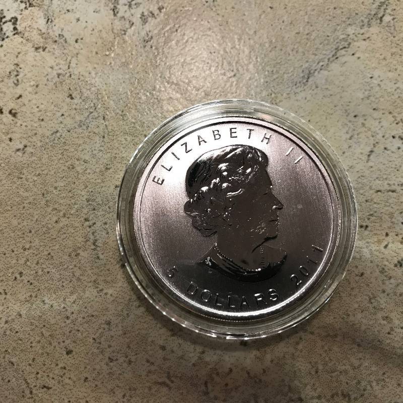 lot 252 image: 2011 1 oz .9999 Silver Canadian Grizzly Bear Wildlife Series