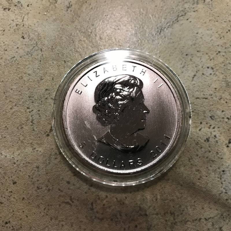 lot 253 image: 2011 1 oz .9999 Silver Canadian Grizzly Bear Wildlife Series