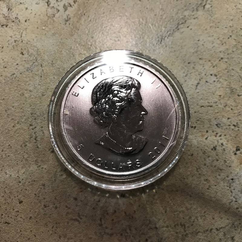 lot 255 image: 2011 1 oz .9999 Silver Canadian Grizzly Bear Wildlife Series