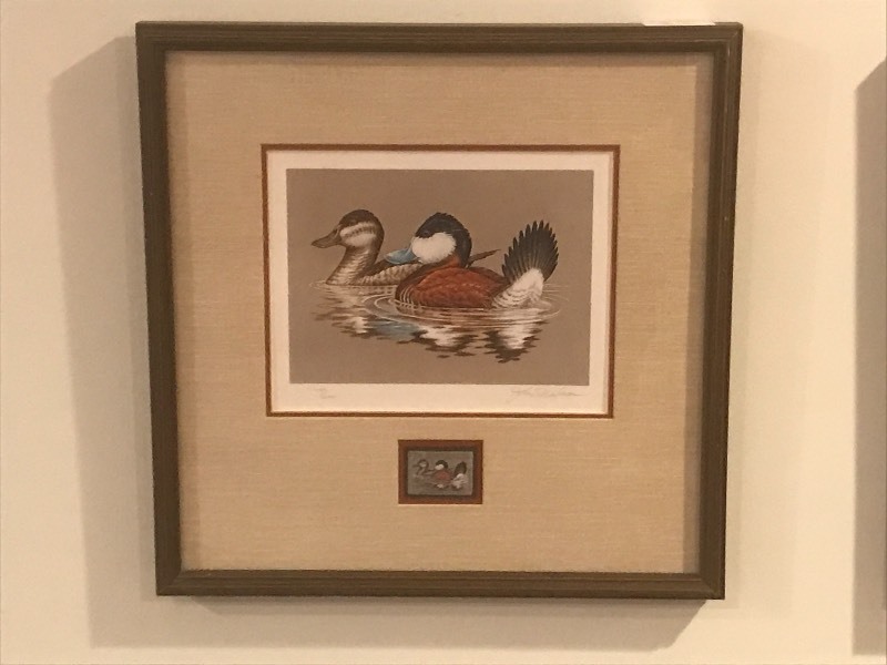 lot 33 image: Framed 1982 Ruddy Ducks Stamp & P...